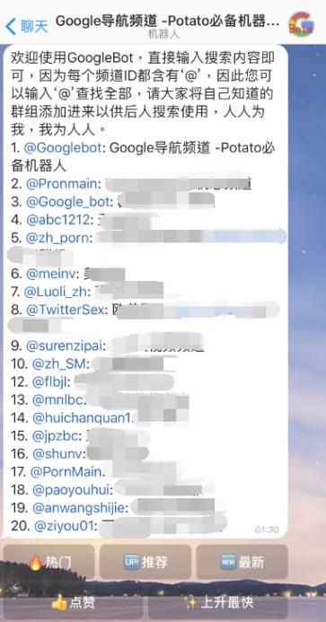 土豆聊天Potato Chat
