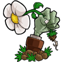 植物大战僵尸废物版中文版