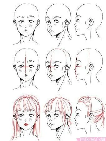我成了生物课的教具夏暖免费阅读,动漫绘画教程，学习绘画技巧，绘制心中的动漫世界！