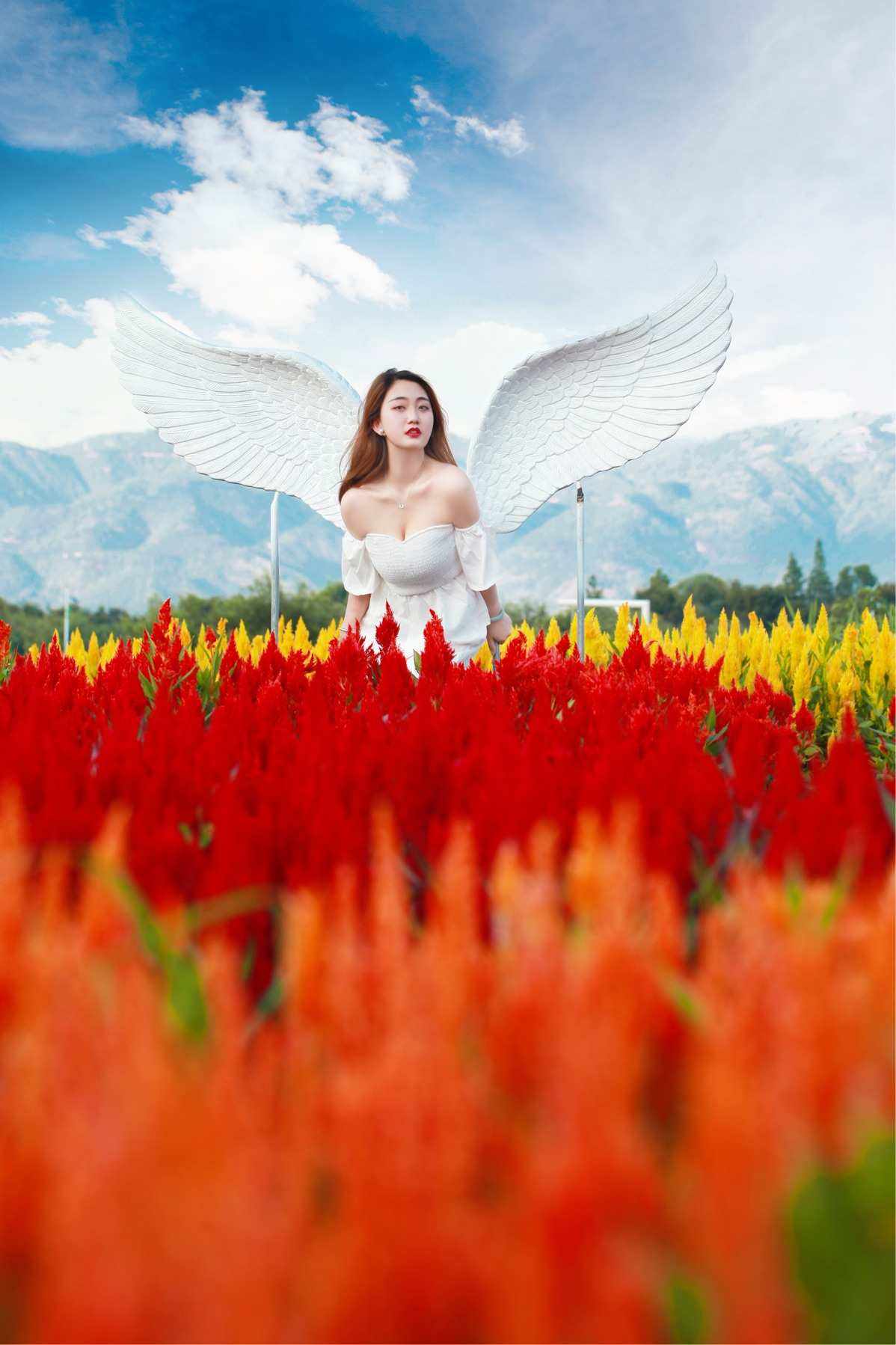 女性私处突出的翅膀是什么,精彩揭秘文，见证震撼揭秘的时刻。