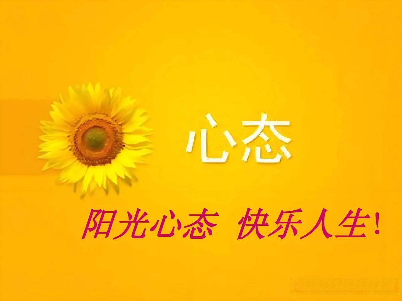 再来一次第23集,权威剖析文，树立正确的价值观。