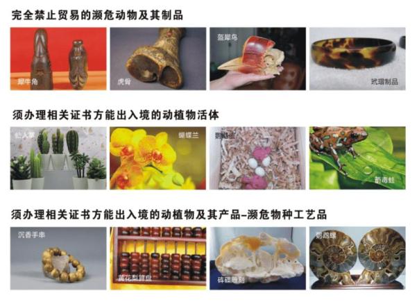 在床上的72种扦插方法,美妆品牌，科普介绍，选择产品！