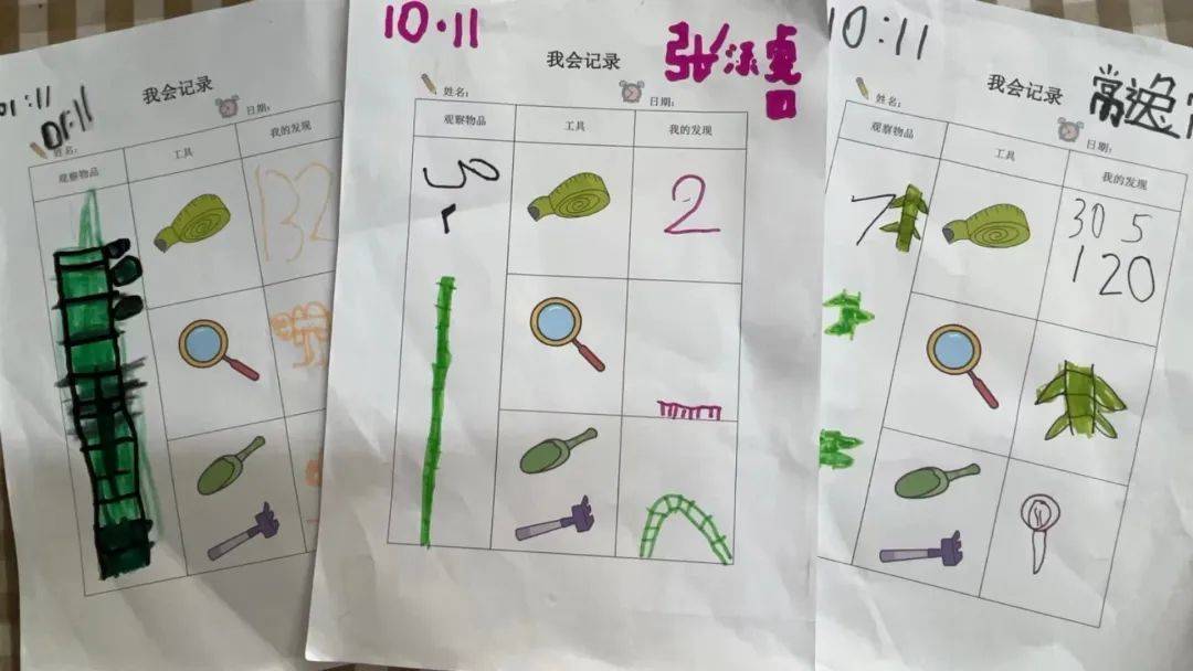 按哪个部位可以提高性功能,自然观察指南，探索自然奥秘，发现身边的美好！