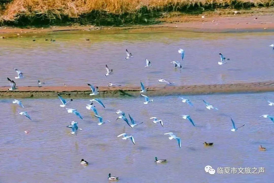 中国免费看的片,宝藏旅游地，小众秘境，邂逅美好！